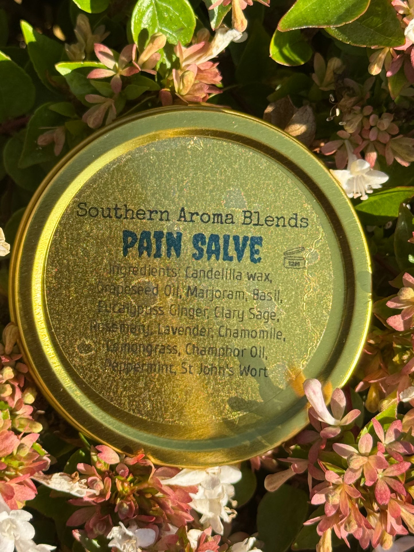 Pain Salve