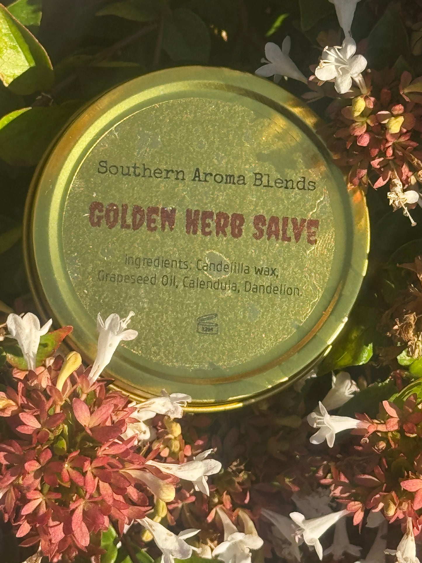 Golden Herb Salve